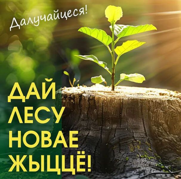 O8fBGfWMpicHarELi84Q0u37BdqURp0-xHCNxqMo7L6nw7r9KAyk2Z3lYGPfWKCCBMxtE9xnLh6lmEr038IsEyLw